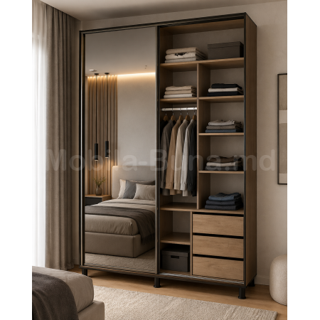 Шкаф купе с 2 зеркальными дверцами А-9